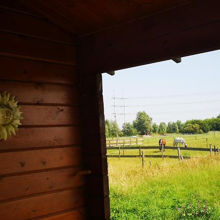 Ruime Romantische Blokhut Zwaanshoek Экстерьер фото